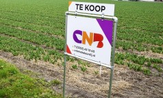 News image: Overdrachtsbelasting agrarische bedrijven gewijzigd